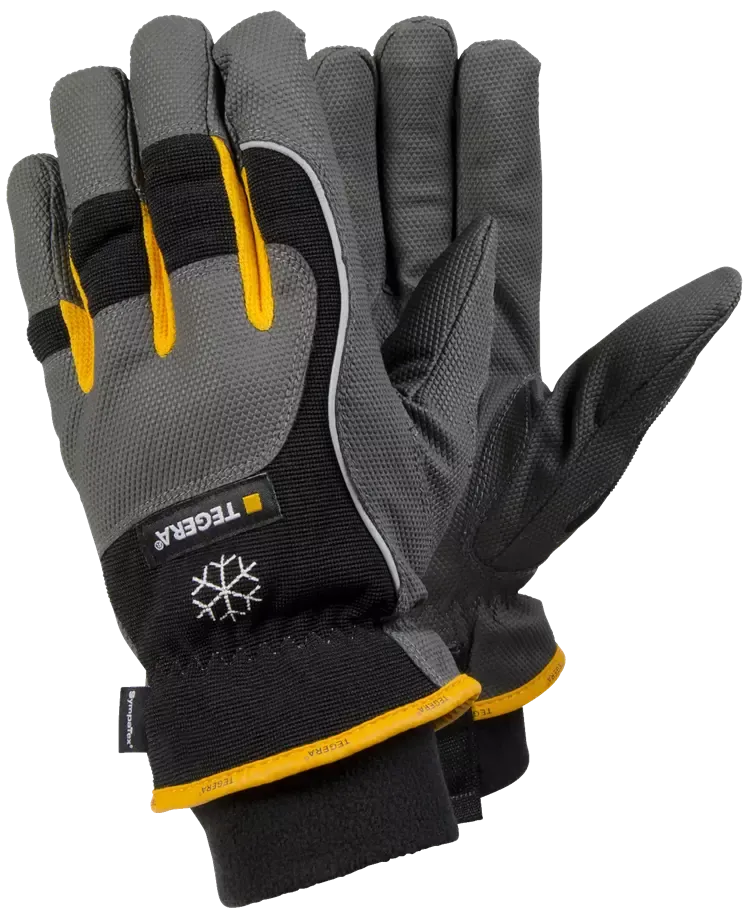 EJ 9126 TEGERA Pro (8)